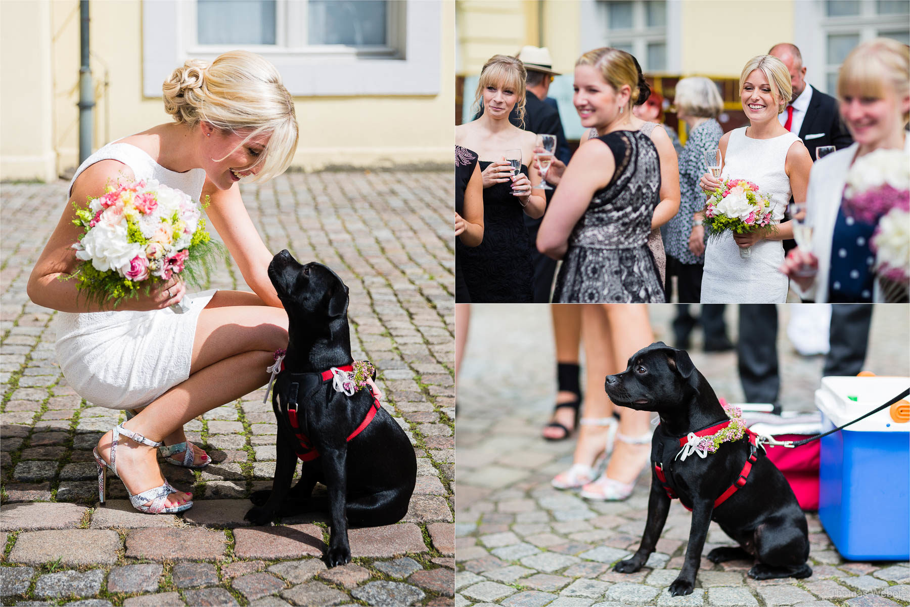 Hochzeitsfotograf Ostfriesland: Hochzeitsfotos einer Hochzeitsreportage